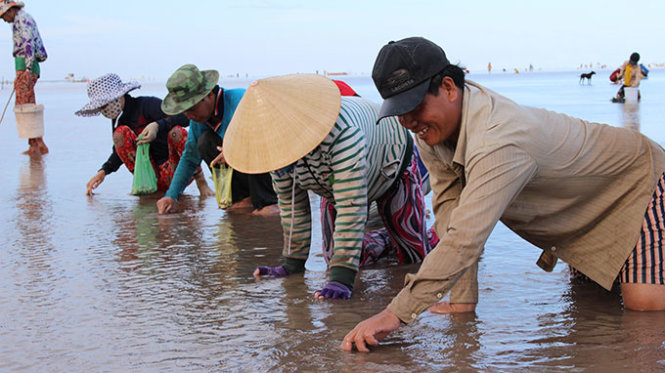 Phía[-]sau[-]câu[-]chuyện[-]“cướp”[-]nghêu[-]ở[-]Bạc[-]Liêu